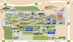 Plano-Campus-Elche